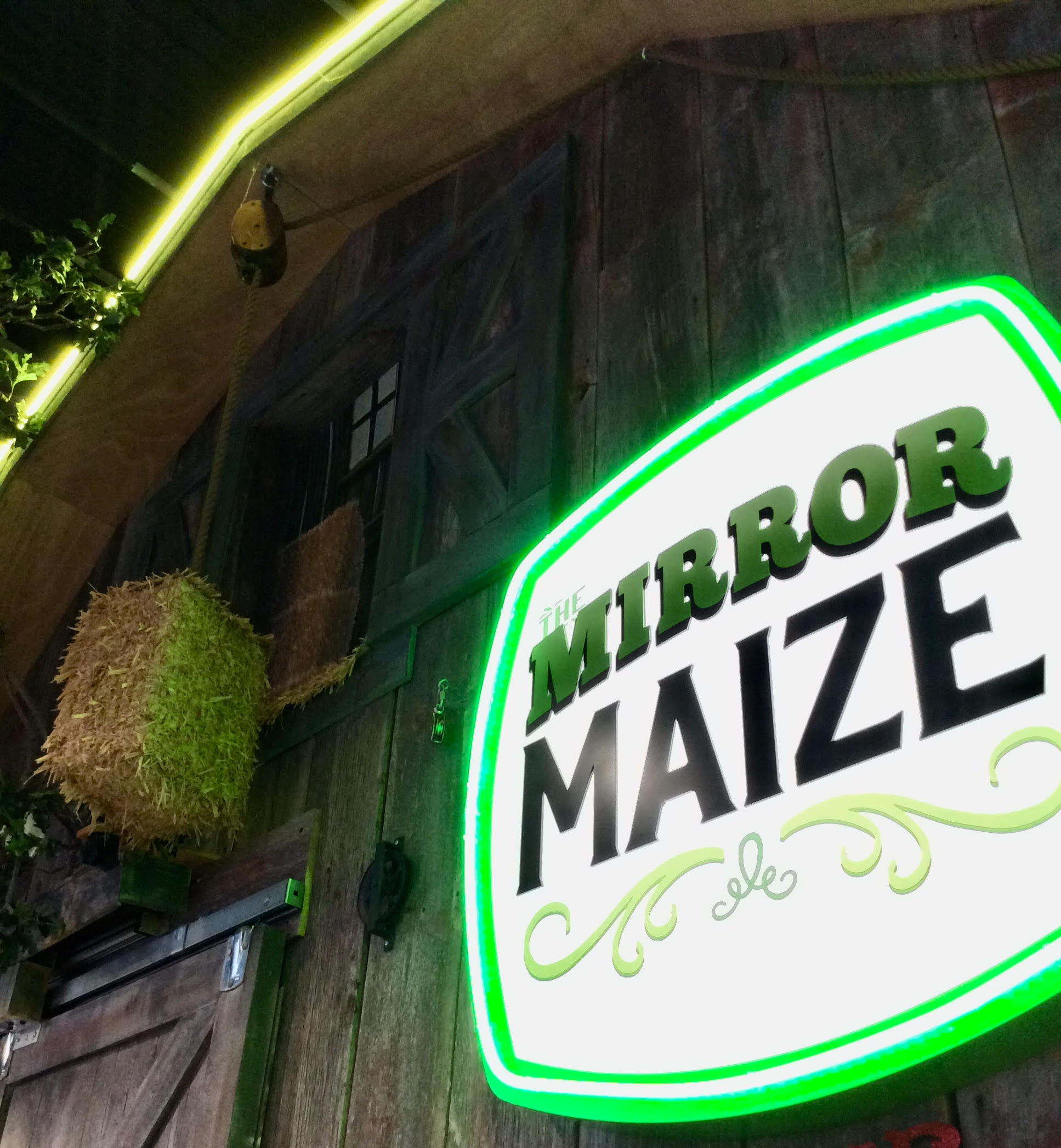 7D / Mirror Maize